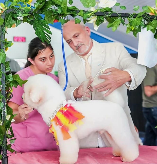 Galería Método DAFE 2