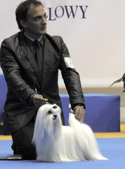 Galería Método DAFE 4