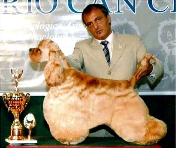 Galería Método DAFE 5